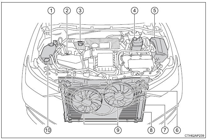 Toyota Auris. Tareas de mantenimiento que puede hacer usted mismo