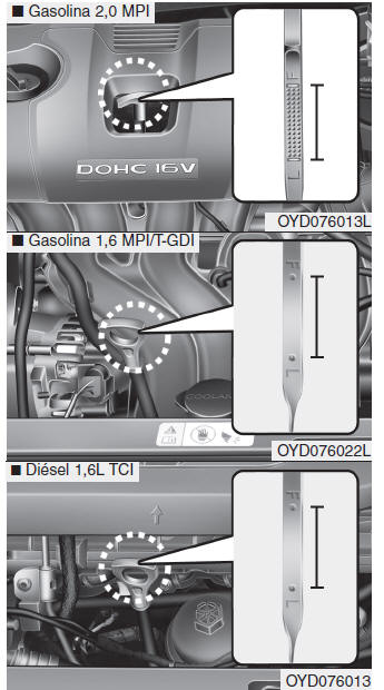 Kia Forte. Aceite del motor