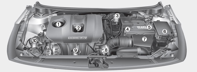 Kia Forte. Compartimento del motor