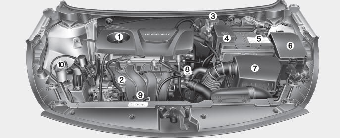 Kia Forte. Compartimento del motor