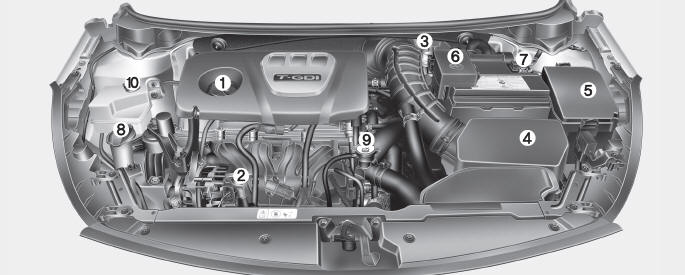 Kia Forte. Compartimento del motor