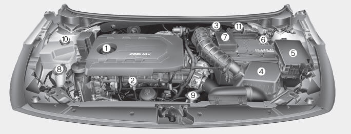 Kia Forte. Compartimento del motor