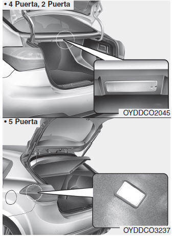 Kia Forte. Luz interior