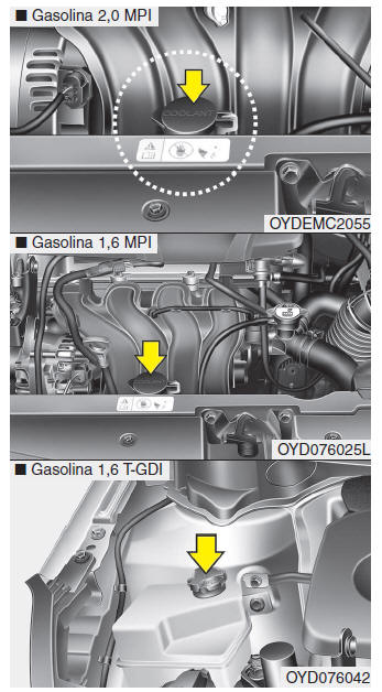 Kia Forte. Refrigerante del motor 