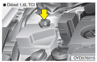 Kia Forte. Refrigerante del motor 