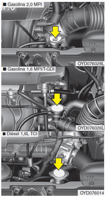 Kia Forte. Refrigerante del motor 