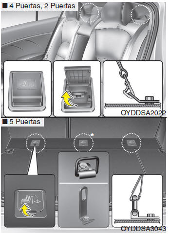 Kia Forte. Sistema de sujeción para niños