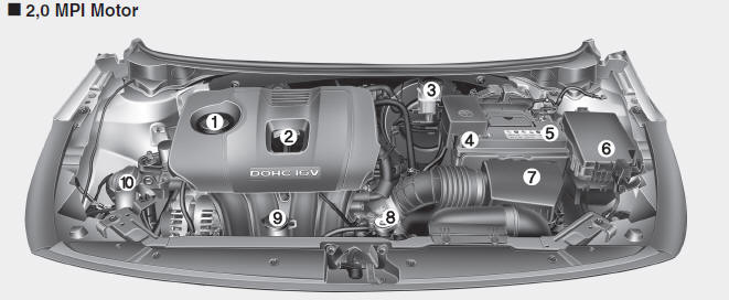 Kia Forte. Compartimento del motor