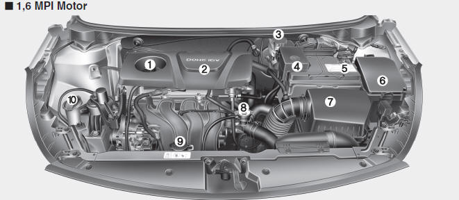 Kia Forte. Compartimento del motor