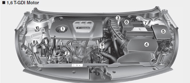 Kia Forte. Compartimento del motor