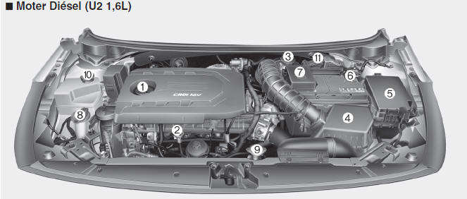 Kia Forte. Compartimento del motor