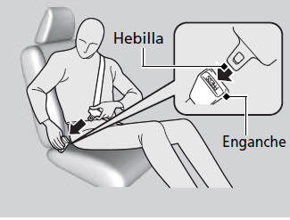 Honda Civic. Cinturones de seguridad