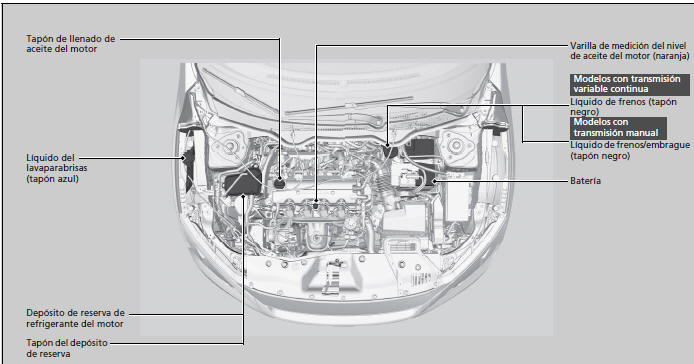 Honda Civic. Operaciones de mantenimiento bajo el capó