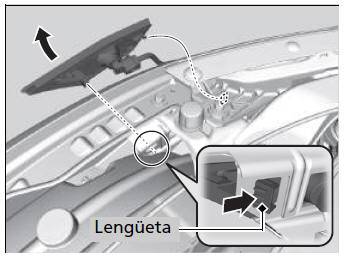 Honda Civic. Sustitución de bombillas