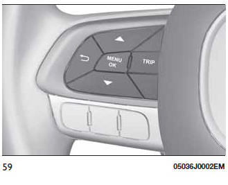 Fiat Tipo. Ordenador de viaje (Trip computer)