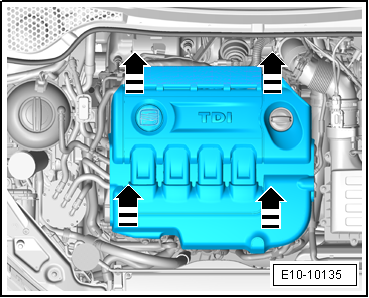 E10-10135